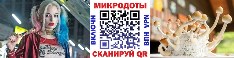 Галлюциногенные грибы Psilocybine cubensis  купить наркотик  OMG как войти  Нерчинск 