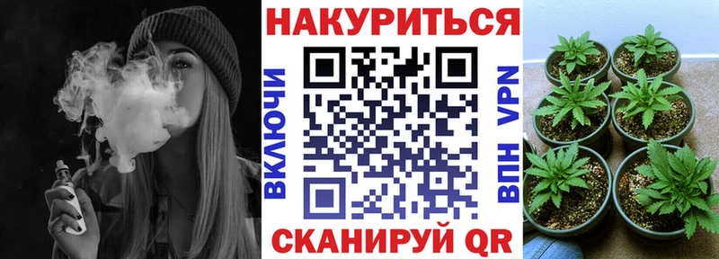Каннабис ГИДРОПОН  даркнет сайт  Нерчинск 